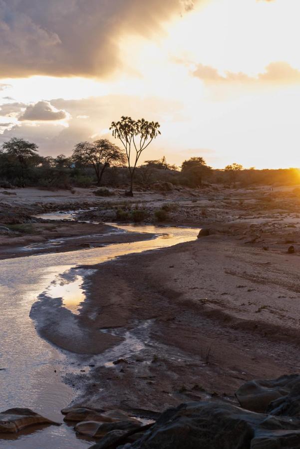 Sarova Shaba Game Lodge Archers Post エクステリア 写真
