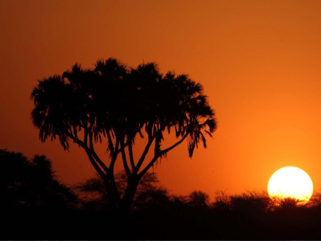 Sarova Shaba Game Lodge Archers Post エクステリア 写真